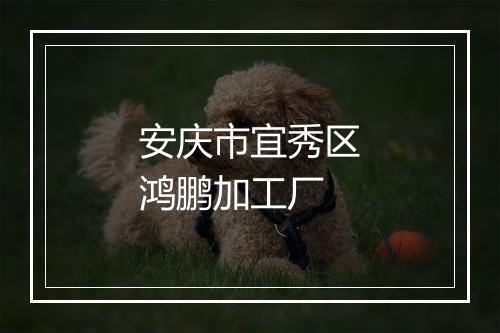 安庆市宜秀区鸿鹏加工厂