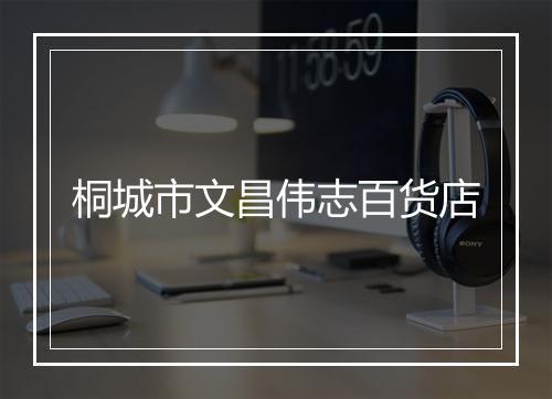 桐城市文昌伟志百货店