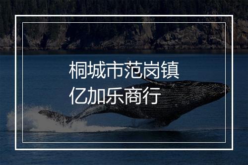 桐城市范岗镇亿加乐商行