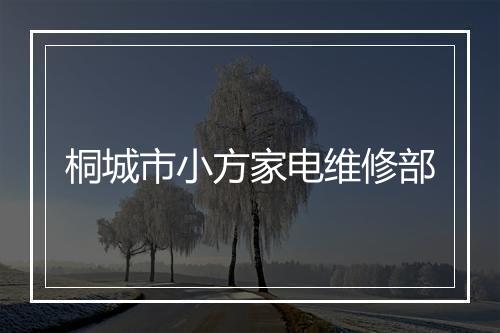 桐城市小方家电维修部