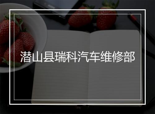 潜山县瑞科汽车维修部