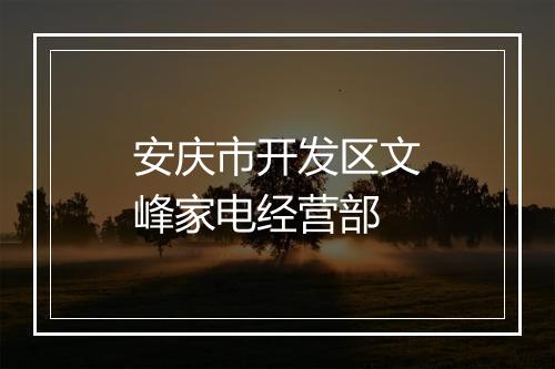 安庆市开发区文峰家电经营部