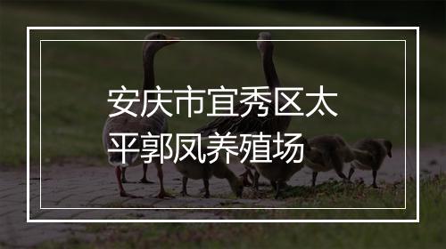 安庆市宜秀区太平郭凤养殖场