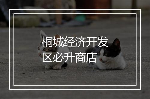 桐城经济开发区必升商店