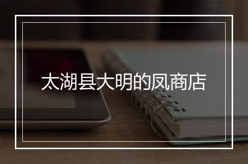 太湖县大明的凤商店