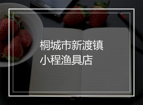 桐城市新渡镇小程渔具店