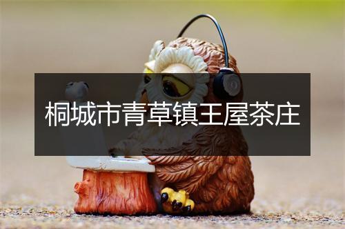 桐城市青草镇王屋茶庄