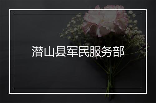 潜山县军民服务部