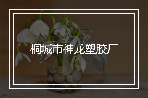 桐城市神龙塑胶厂