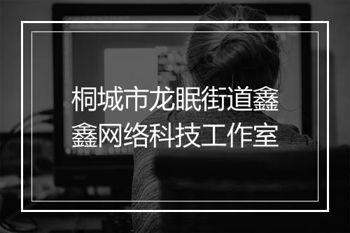桐城市龙眠街道鑫鑫网络科技工作室
