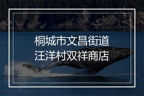 桐城市文昌街道汪洋村双祥商店