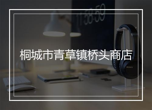桐城市青草镇桥头商店