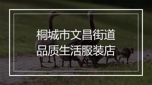桐城市文昌街道品质生活服装店