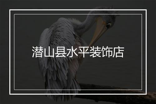 潜山县水平装饰店