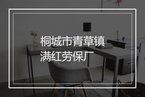 桐城市青草镇满红劳保厂