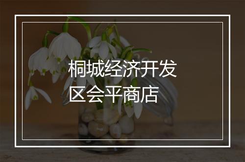 桐城经济开发区会平商店