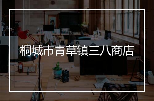 桐城市青草镇三八商店