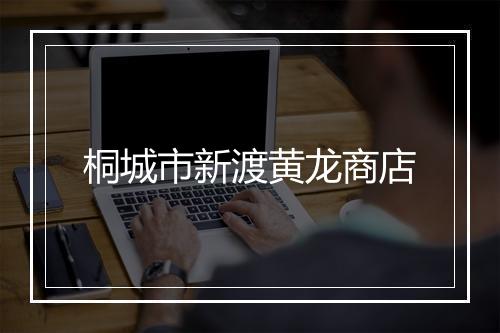 桐城市新渡黄龙商店