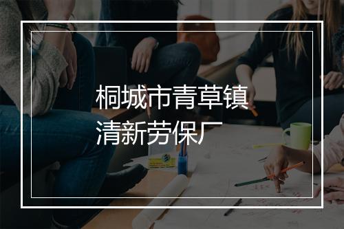 桐城市青草镇清新劳保厂