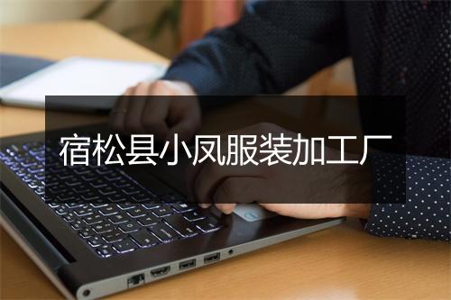 宿松县小凤服装加工厂