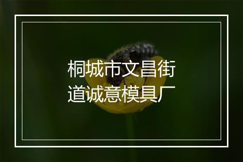 桐城市文昌街道诚意模具厂