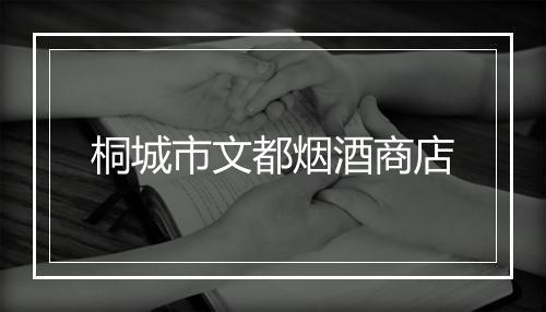 桐城市文都烟酒商店