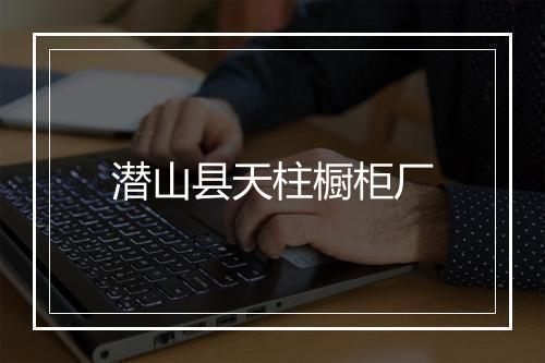 潜山县天柱橱柜厂
