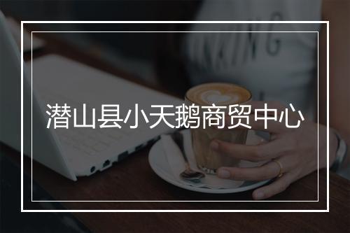 潜山县小天鹅商贸中心