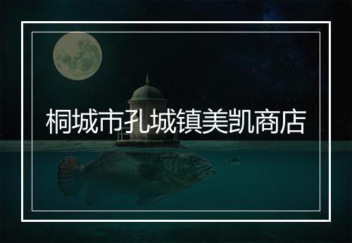 桐城市孔城镇美凯商店