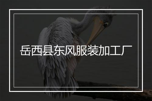 岳西县东风服装加工厂