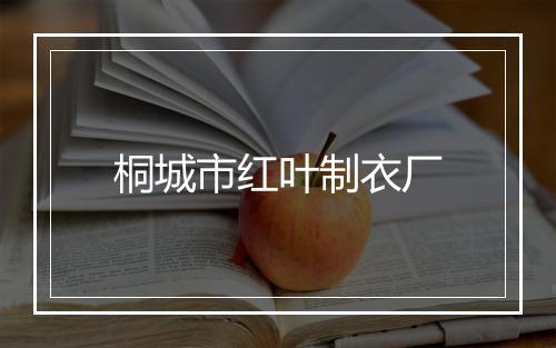 桐城市红叶制衣厂