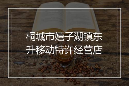 桐城市嬉子湖镇东升移动特许经营店