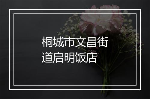 桐城市文昌街道启明饭店