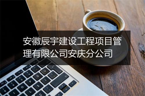 安徽辰宇建设工程项目管理有限公司安庆分公司