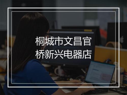 桐城市文昌官桥新兴电器店