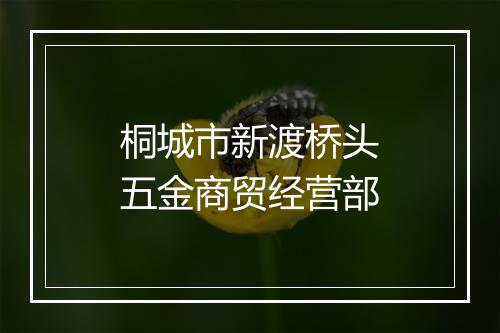 桐城市新渡桥头五金商贸经营部