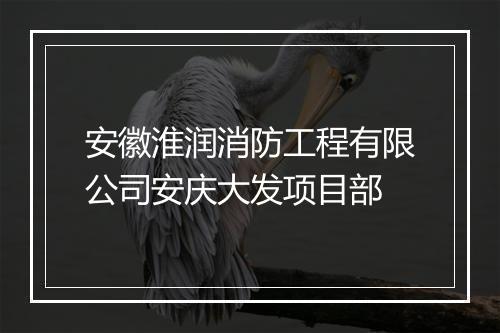 安徽淮润消防工程有限公司安庆大发项目部