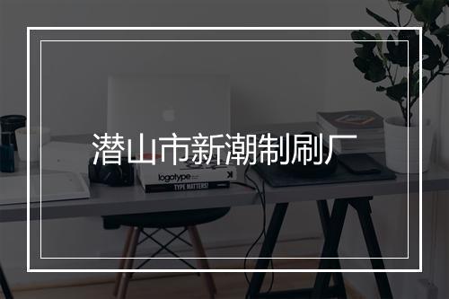 潜山市新潮制刷厂