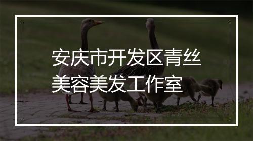 安庆市开发区青丝美容美发工作室