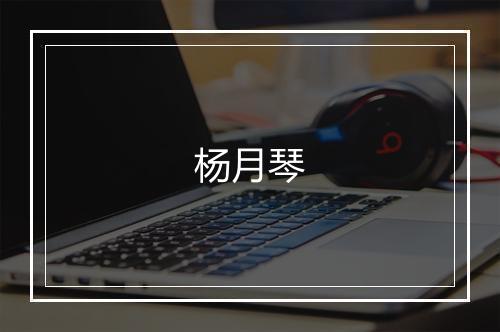 杨月琴