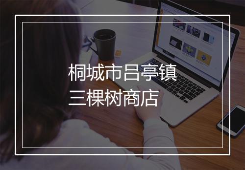 桐城市吕亭镇三棵树商店
