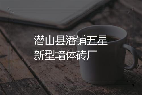 潜山县潘铺五星新型墙体砖厂