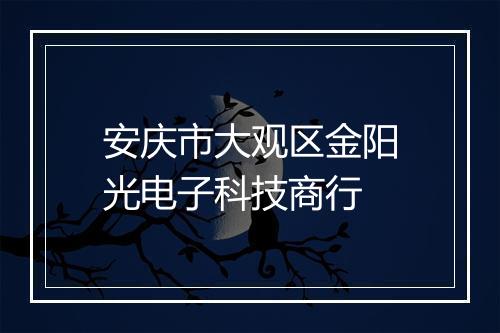安庆市大观区金阳光电子科技商行