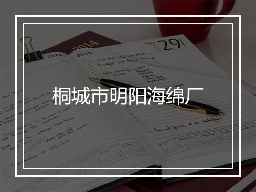 桐城市明阳海绵厂