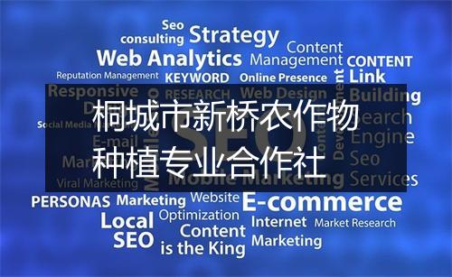 桐城市新桥农作物种植专业合作社