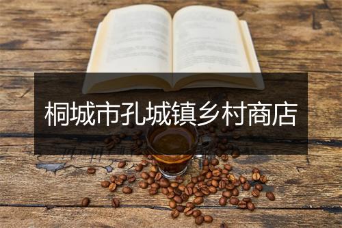 桐城市孔城镇乡村商店
