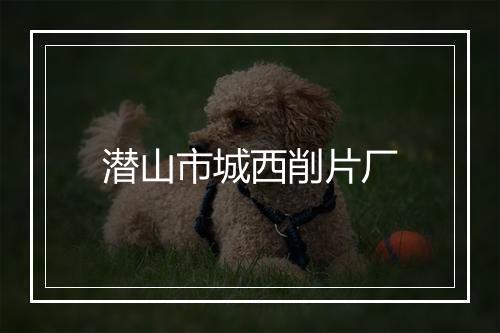 潜山市城西削片厂