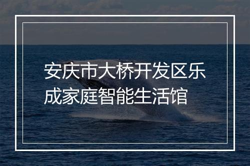 安庆市大桥开发区乐成家庭智能生活馆