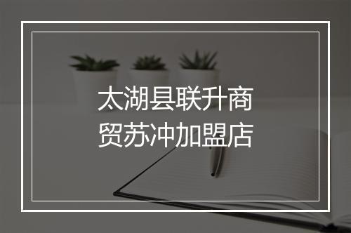 太湖县联升商贸苏冲加盟店