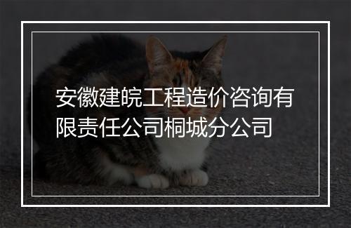 安徽建皖工程造价咨询有限责任公司桐城分公司